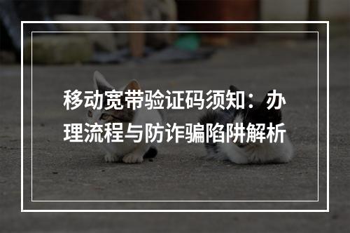 移动宽带验证码须知：办理流程与防诈骗陷阱解析