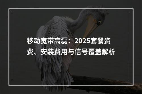 移动宽带高磊：2025套餐资费、安装费用与信号覆盖解析