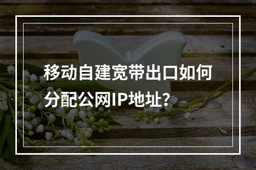 移动自建宽带出口如何分配公网IP地址？