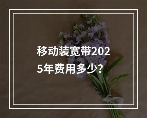 移动装宽带2025年费用多少？