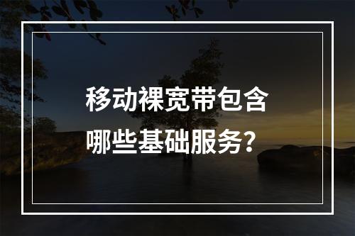 移动裸宽带包含哪些基础服务？