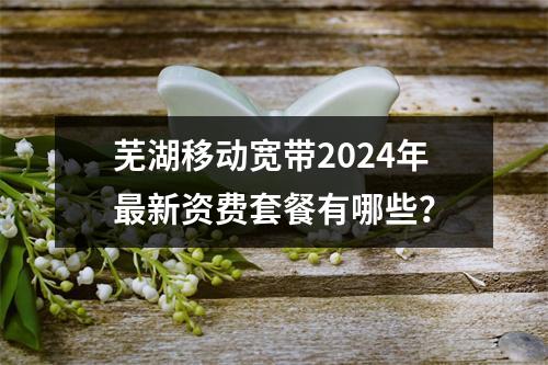 芜湖移动宽带2024年最新资费套餐有哪些？
