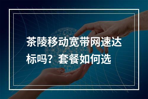 茶陵移动宽带网速达标吗？套餐如何选