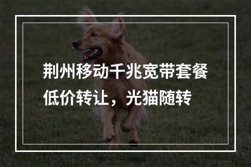荆州移动千兆宽带套餐低价转让，光猫随转
