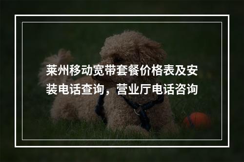莱州移动宽带套餐价格表及安装电话查询，营业厅电话咨询