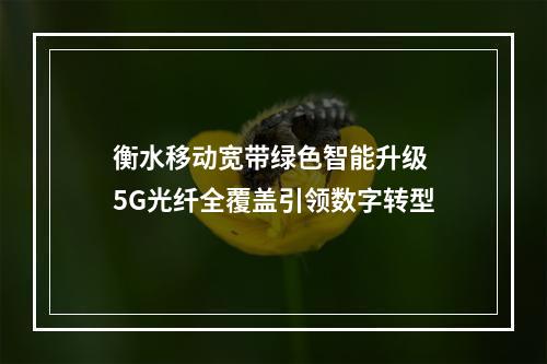 衡水移动宽带绿色智能升级 5G光纤全覆盖引领数字转型