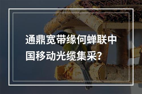通鼎宽带缘何蝉联中国移动光缆集采？