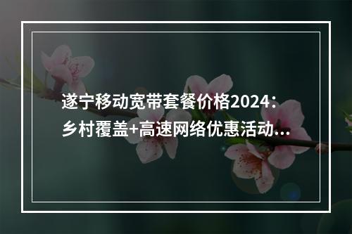 遂宁移动宽带套餐价格2024：乡村覆盖+高速网络优惠活动一览