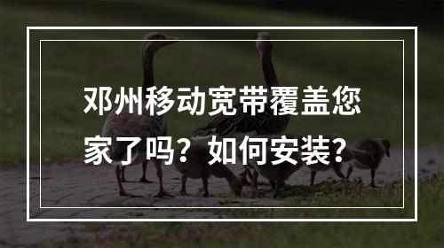 邓州移动宽带覆盖您家了吗？如何安装？