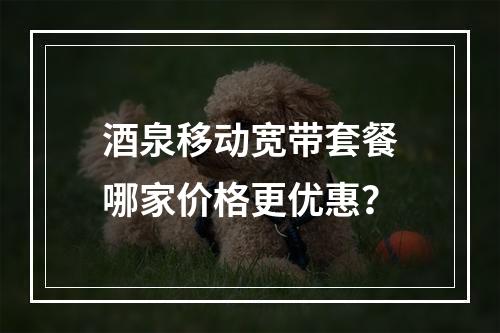 酒泉移动宽带套餐哪家价格更优惠？