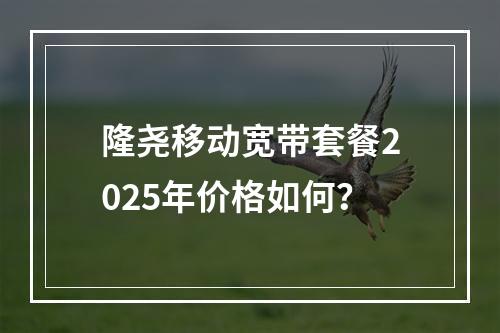 隆尧移动宽带套餐2025年价格如何？