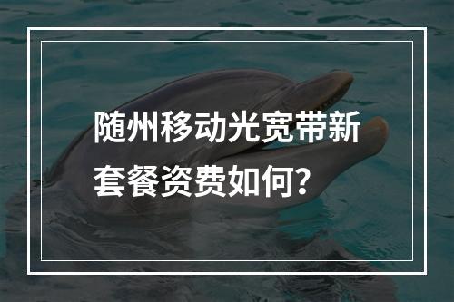 随州移动光宽带新套餐资费如何？