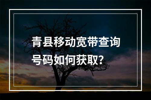青县移动宽带查询号码如何获取？