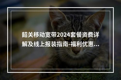 韶关移动宽带2024套餐资费详解及线上报装指南-福利优惠速览