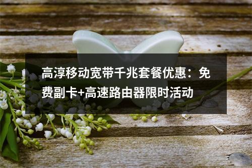 高淳移动宽带千兆套餐优惠：免费副卡+高速路由器限时活动