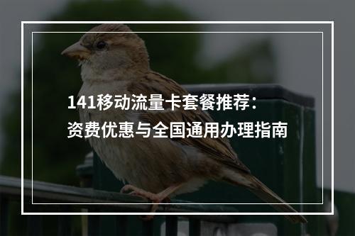 141移动流量卡套餐推荐：资费优惠与全国通用办理指南