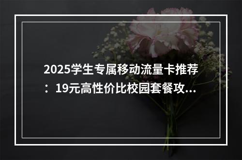 2025学生专属移动流量卡推荐：19元高性价比校园套餐攻略