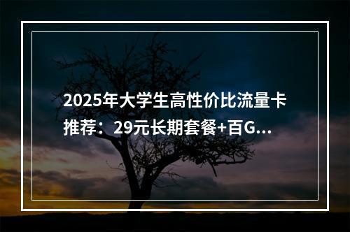 2025年大学生高性价比流量卡推荐：29元长期套餐+百G大流量