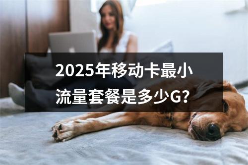 2025年移动卡最小流量套餐是多少G？