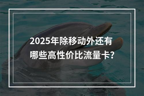 2025年除移动外还有哪些高性价比流量卡？