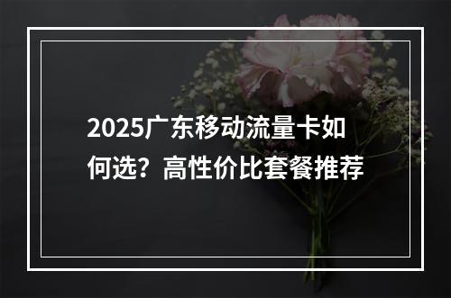 2025广东移动流量卡如何选？高性价比套餐推荐