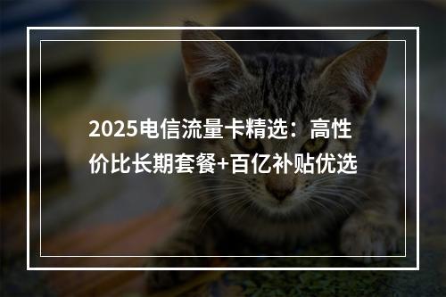 2025电信流量卡精选：高性价比长期套餐+百亿补贴优选