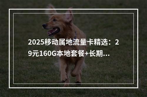 2025移动属地流量卡精选：29元160G本地套餐+长期优惠