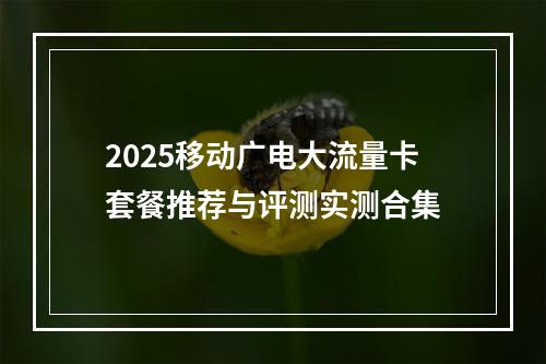 2025移动广电大流量卡套餐推荐与评测实测合集