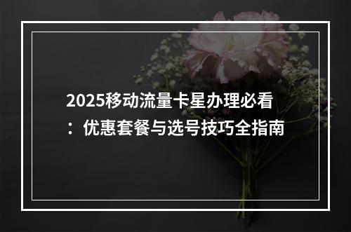 2025移动流量卡星办理必看：优惠套餐与选号技巧全指南