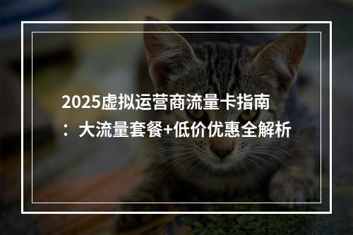 2025虚拟运营商流量卡指南：大流量套餐+低价优惠全解析
