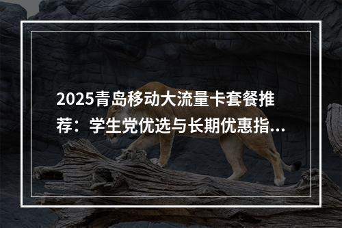 2025青岛移动大流量卡套餐推荐：学生党优选与长期优惠指南