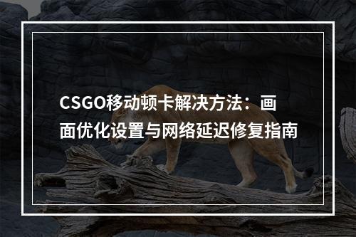 CSGO移动顿卡解决方法：画面优化设置与网络延迟修复指南