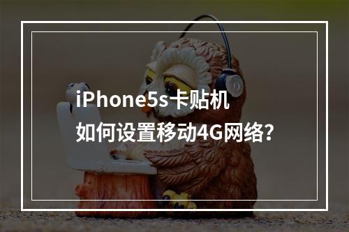 iPhone5s卡贴机如何设置移动4G网络？