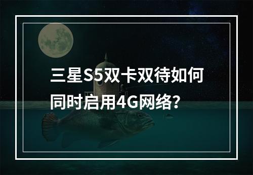 三星S5双卡双待如何同时启用4G网络？