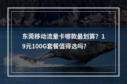 东莞移动流量卡哪款最划算？19元100G套餐值得选吗？