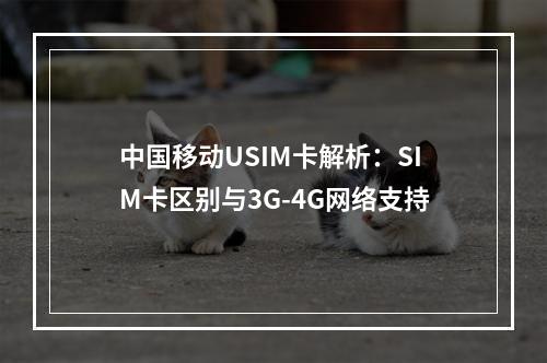 中国移动USIM卡解析：SIM卡区别与3G-4G网络支持