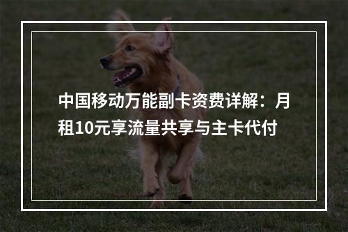 中国移动万能副卡资费详解：月租10元享流量共享与主卡代付