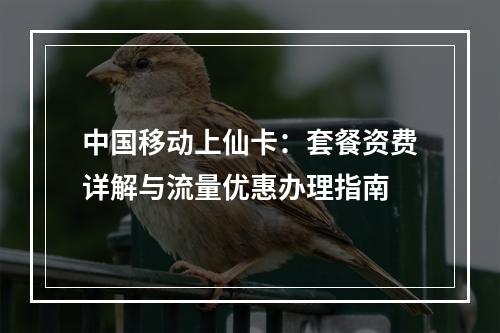 中国移动上仙卡：套餐资费详解与流量优惠办理指南