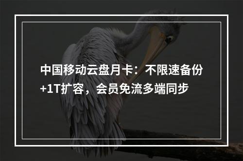 中国移动云盘月卡：不限速备份+1T扩容，会员免流多端同步