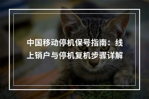 中国移动停机保号指南：线上销户与停机复机步骤详解