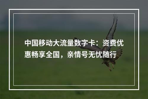 中国移动大流量数字卡：资费优惠畅享全国，亲情号无忧随行