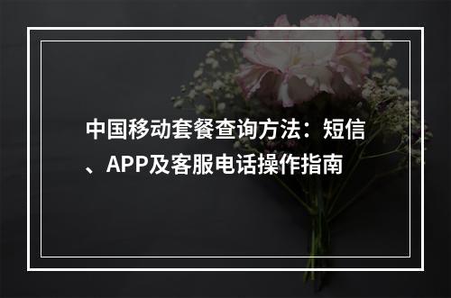 中国移动套餐查询方法：短信、APP及客服电话操作指南
