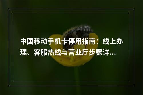 中国移动手机卡停用指南：线上办理、客服热线与营业厅步骤详解