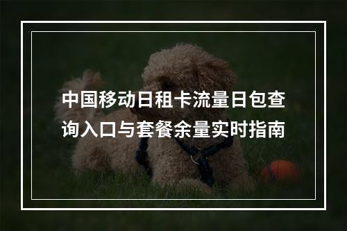 中国移动日租卡流量日包查询入口与套餐余量实时指南
