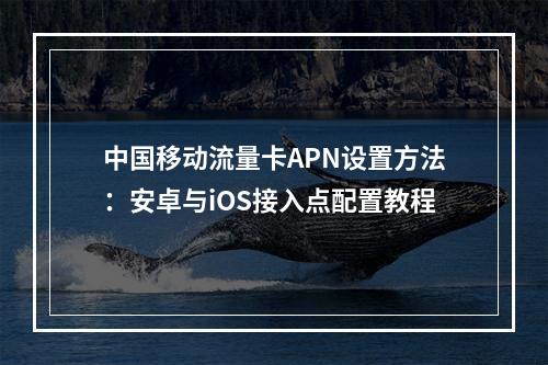 中国移动流量卡APN设置方法：安卓与iOS接入点配置教程
