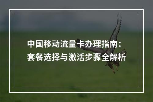 中国移动流量卡办理指南：套餐选择与激活步骤全解析