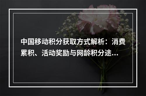 中国移动积分获取方式解析：消费累积、活动奖励与网龄积分途径