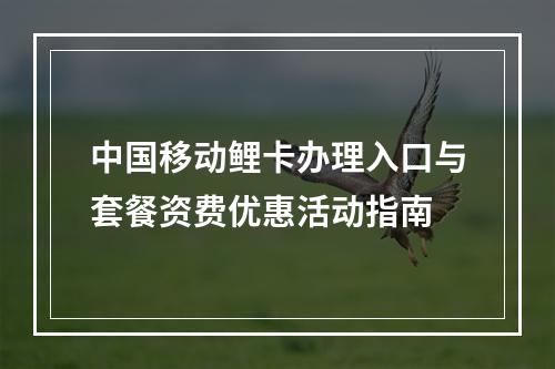 中国移动鲤卡办理入口与套餐资费优惠活动指南