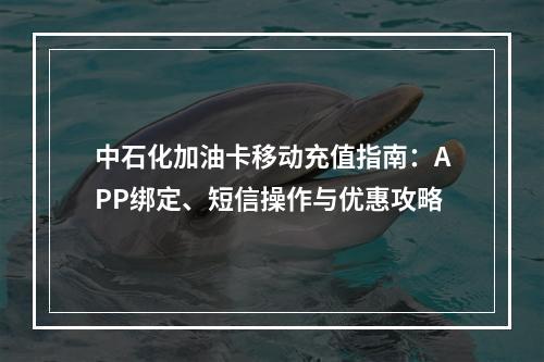中石化加油卡移动充值指南：APP绑定、短信操作与优惠攻略