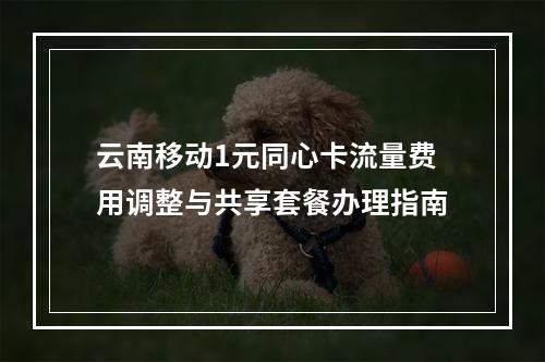 云南移动1元同心卡流量费用调整与共享套餐办理指南